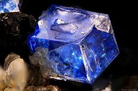 10891890_770531259667019_8467445393080572448_n