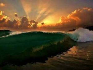 10930158_10152716150456647_7985399454618288099_n