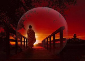 1527029_690128044352230_737312124_n