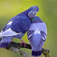 309095_453526791345342_644072740_n