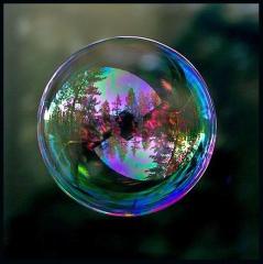 11037252_283696275087701_97094379894099752_n