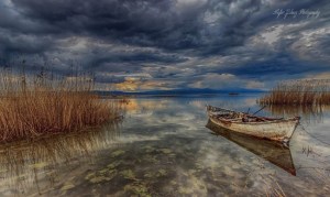 11070007_792041170864086_2242791775766071525_n