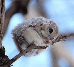 16889_527317280744065_9189069472896018834_n