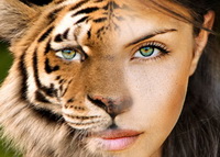 shapeshifting-hypnosis