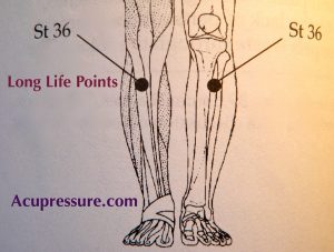 1422538_883691901690139_3439330438240840790_n