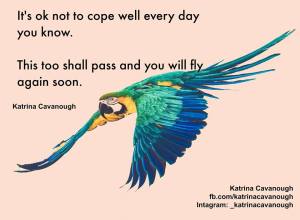 11039303_1053707197990389_1701221257549579998_n