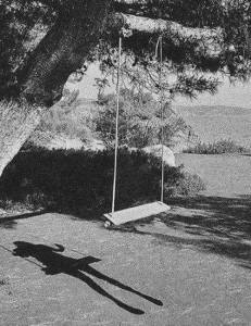 11111218_536264226511513_42038239358693428_n