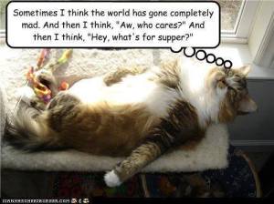 11351243_853651828015715_6147791764145830383_n