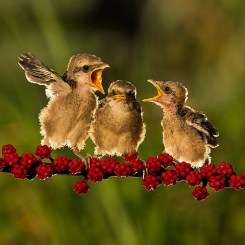 7507927766_45312f8356