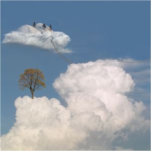 by Ceslovas Cesnakevicius