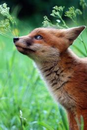 10363645_390296357828220_438971366826071063_n