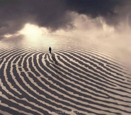 11295616_1429213434064107_7659256493512462958_n