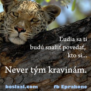never tym kravinam