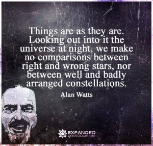 11144412_990630027646183_58973533409657558_n