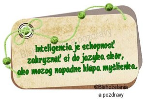 11220887_10203326595325817_5295139730738666047_n