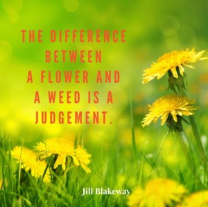 11709833_517793558378635_2793251567797111164_n