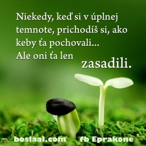 zasadili