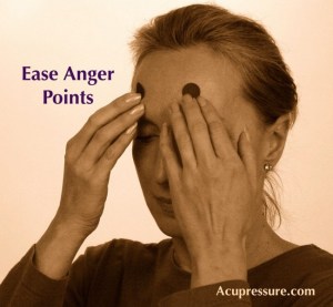 11781849_941865079206154_5549508548950021858_n