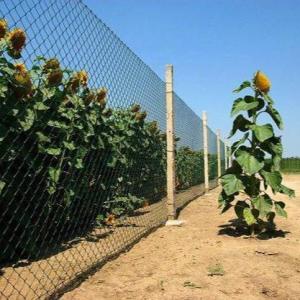 11816900_146913068977115_3446699893491426338_n