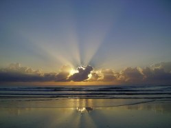 1044170_609206792447028_2044743886_n