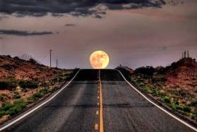 11047598_641439612662717_1281776374260732449_n