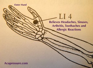 12002386_966681913391137_6539909260560042007_o