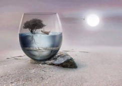 1477368_411851835584951_909552054_n