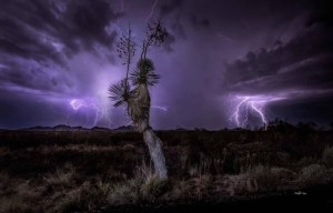 by Rodolfo Lara de la Fuente