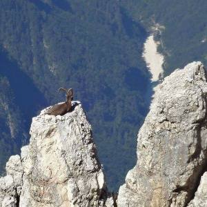 12189806_445107759008735_1821180039181590311_n