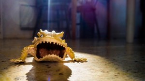 nov15-02-549832045-850x478