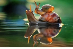 12341391_1016277865098746_4338862015521565854_n