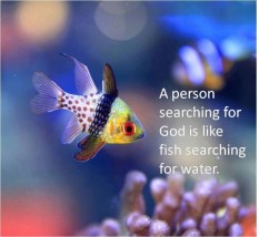 12342495_864542840311744_2091215031916404242_n