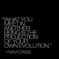 12376727_961358787278156_1490328346853655425_n