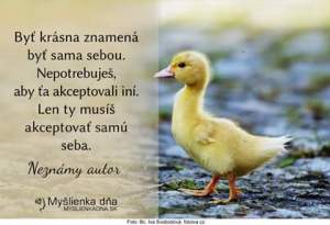 1933796_1017642121610569_7769411484476044368_n