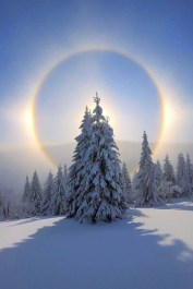 by Mirja Hanhikangas