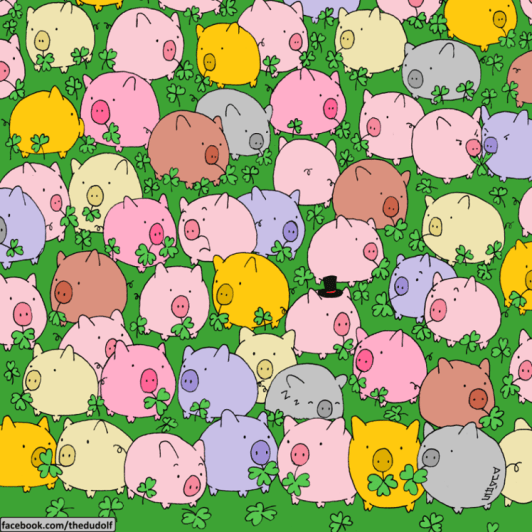 clover