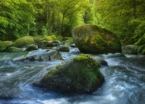 wild_water_by_kbayerl-d2q7ba4