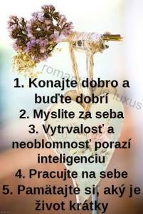 11219619_993722514007304_6201368749914472102_n