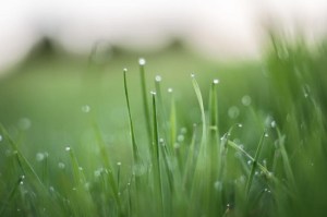 12507197_887777104624587_7220652787950557900_n