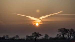 12523018_10205738279231655_2460983588736428829_n