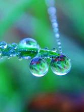 12565447_453005114907888_4505644050314289664_n