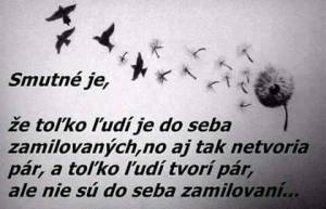 12512556_956949591052492_6496442714373573607_n