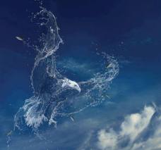 12744634_1111944248818438_4680405025019388459_n