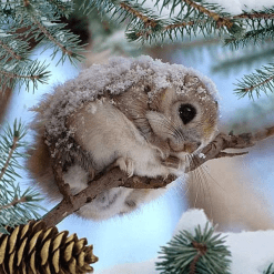 12744464_1348021011880921_3302643023864612596_n