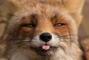 11051823_956817207684002_6278920873377000819_o