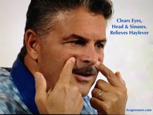 11256981_1078280735564587_708604264897321177_o