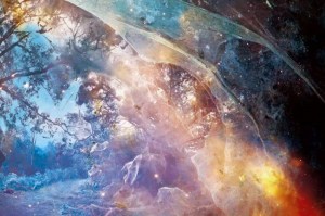 12814400_1060895647263875_512471286899166252_n