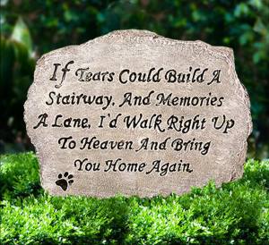 12936609_10154143847313836_4077175663267953886_n