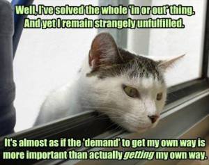 13244884_1345239118838844_2834379580758118884_n