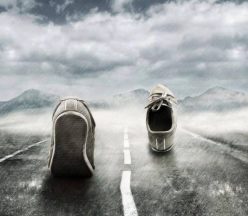 13256288_969618916489837_8057587027246572129_n